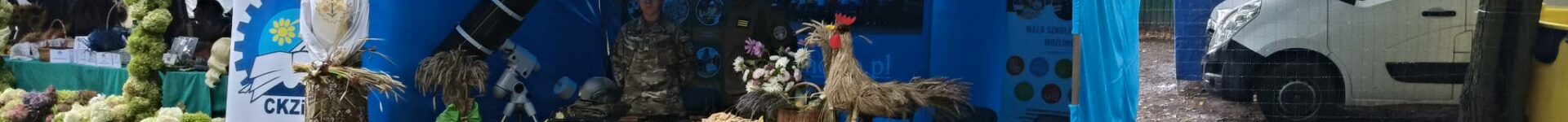 Dożynki powiatowo-gminne w Świedziebni